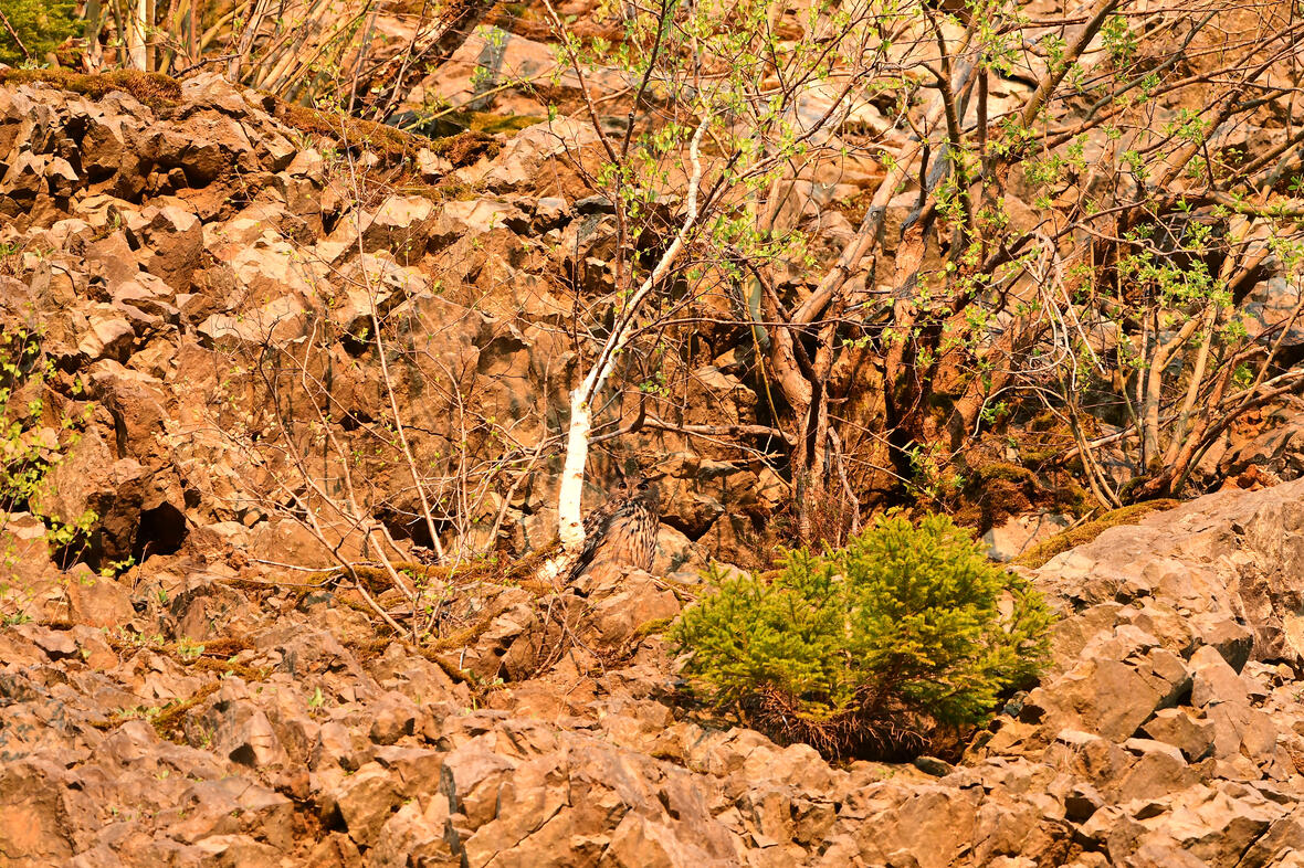 2023-09-13_11-28-22-a012_a013_tarnen_und_taeuschen_foto_hofmann