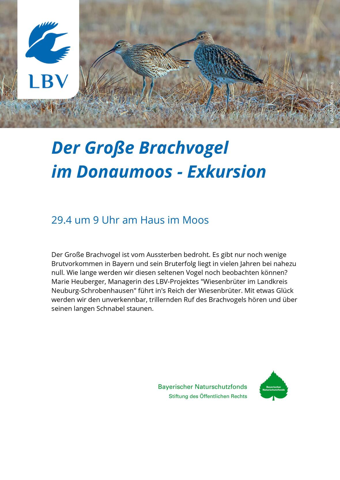 2023-04-14_10-14-31-2023-04-09_fuehrung_brachvogel