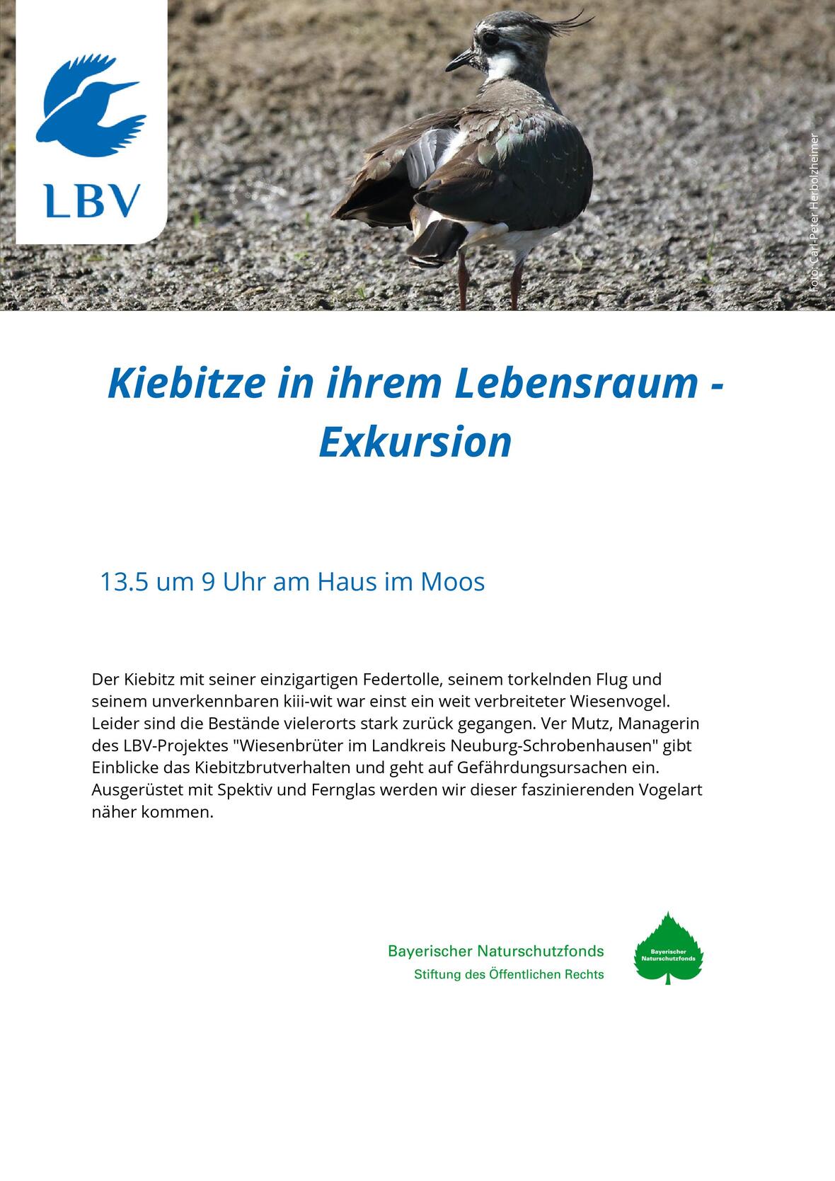 2023-04-14_10-19-26-2023-05-13_fuehrung_kiebitz
