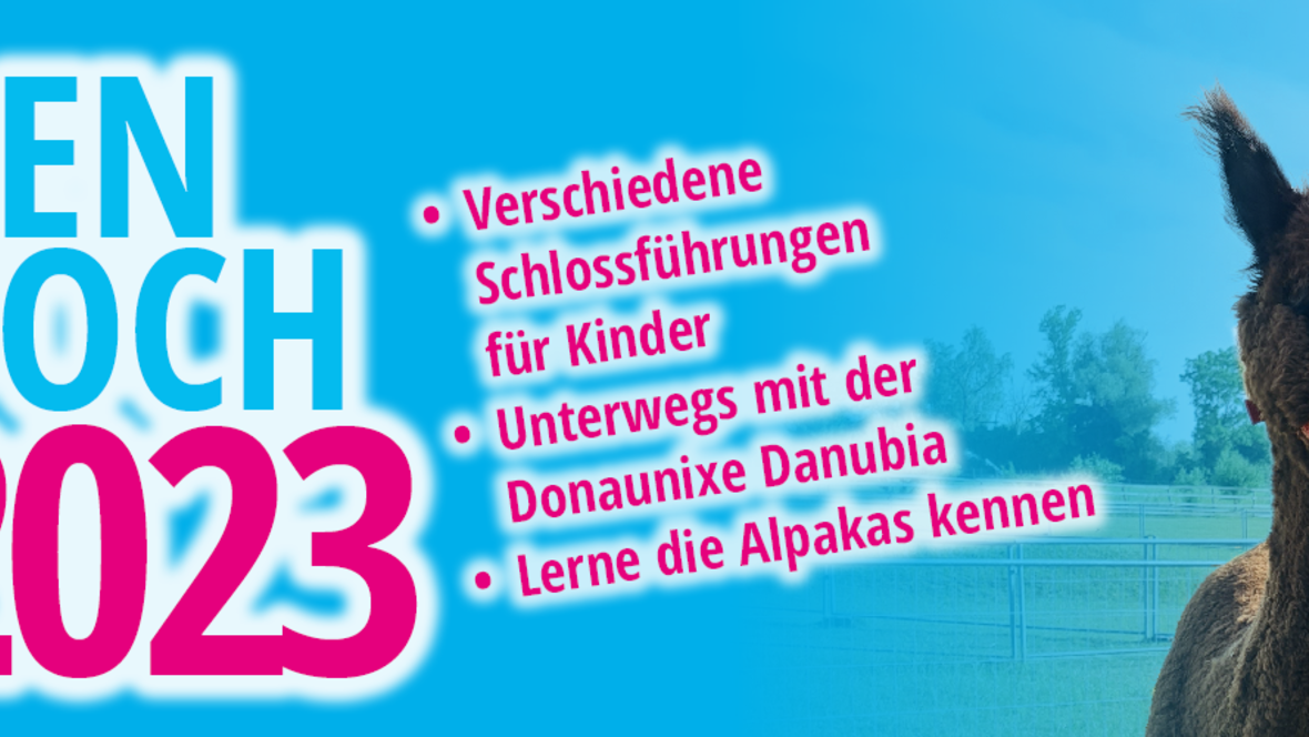 ka-0199-banner-1920x500