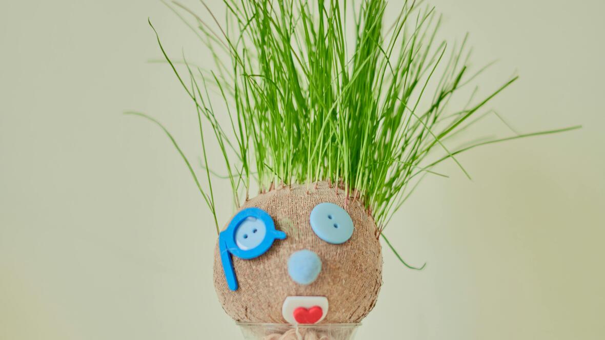 graskopf_moorhof-c-pexels_suki_lee