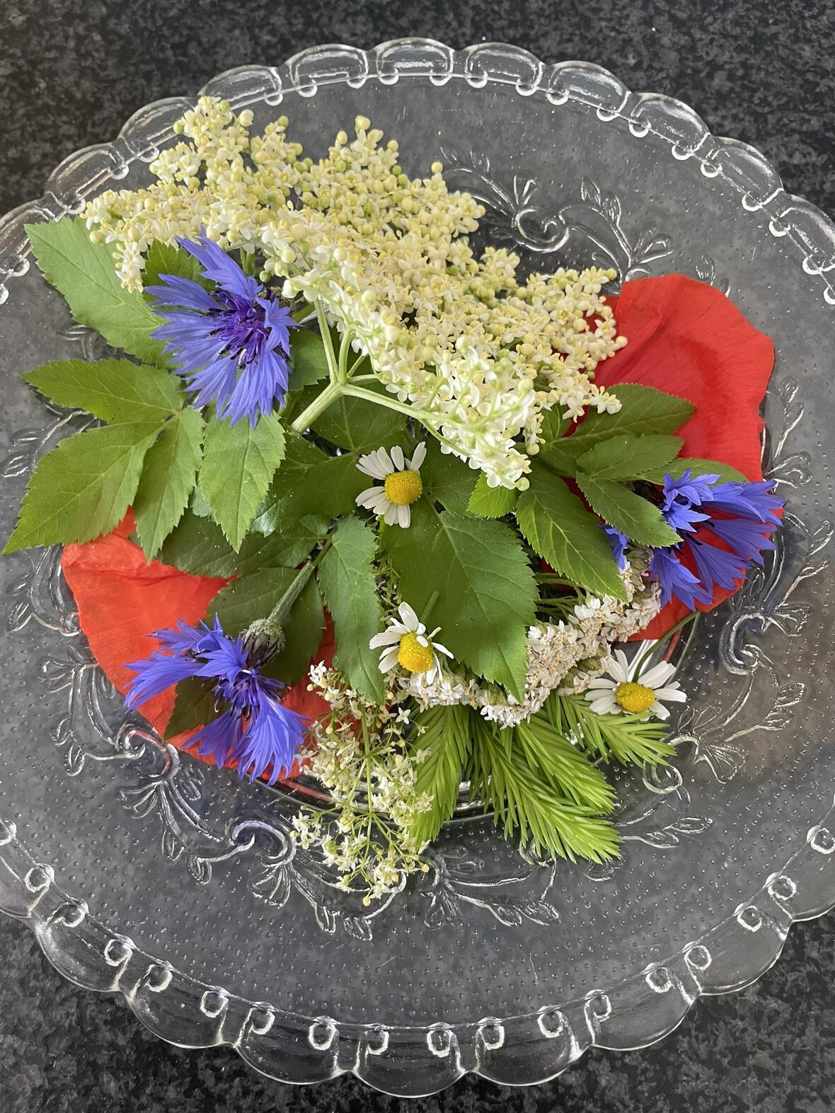 2024-06-07_06-03-47-img_4282