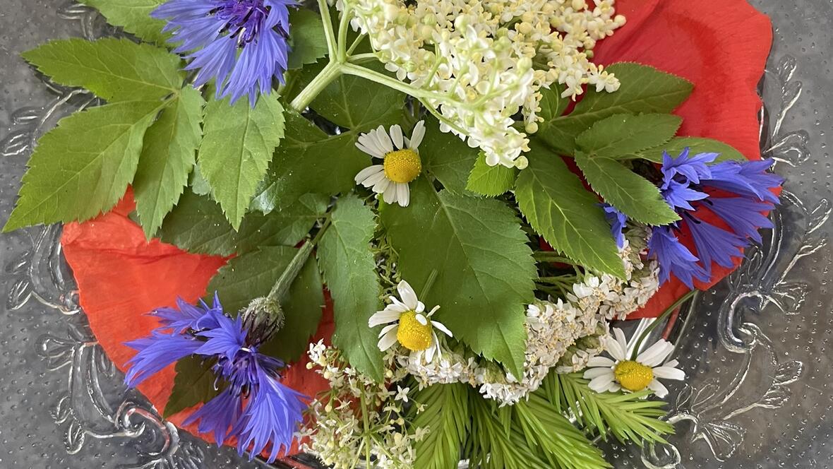 2024-06-07_06-03-47-img_4282