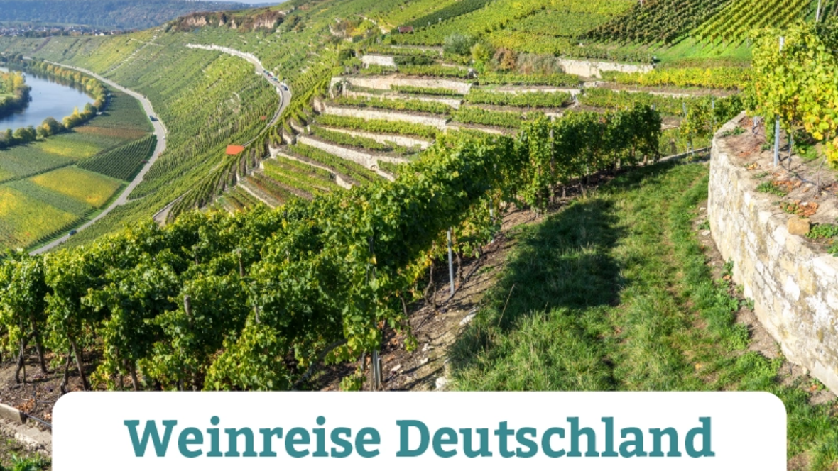 2025-05-12_10-25-43-deutsche-weinreise