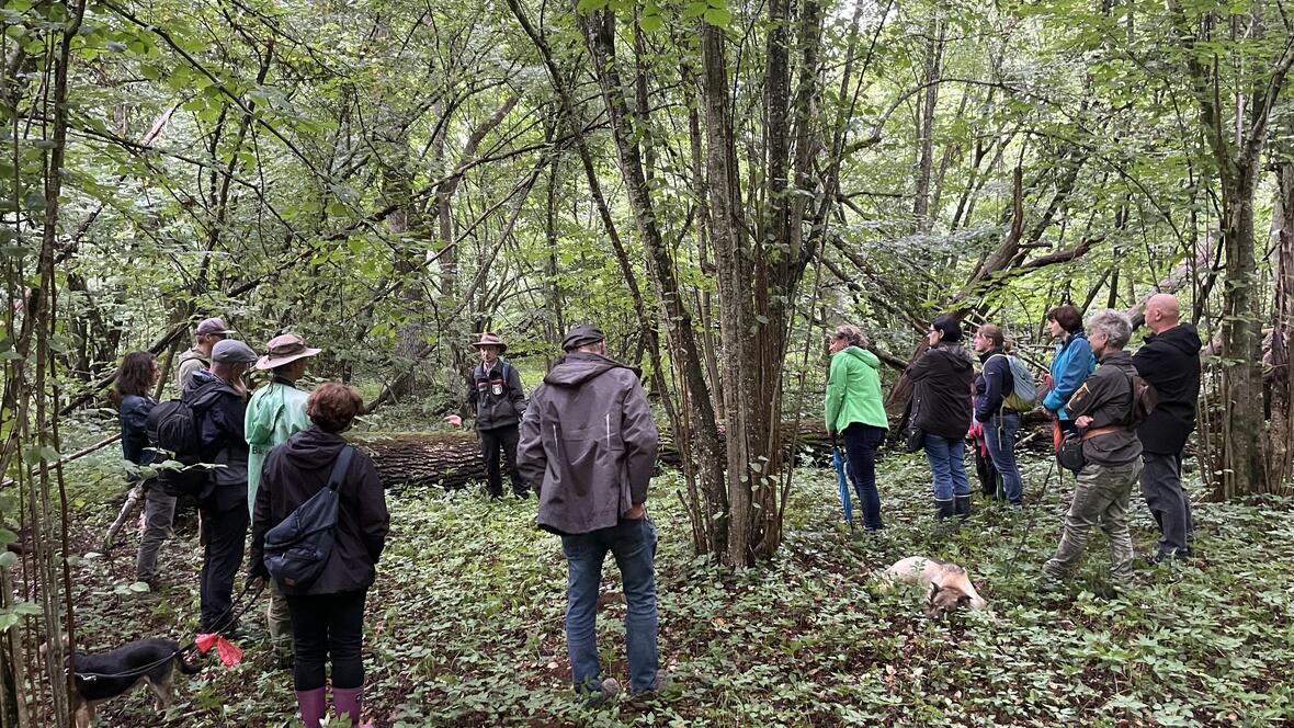bild-9-exkursion-durch-den-wald-bildquelle-anna-pfahler