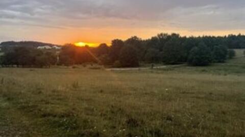 2026-04-19_23-38-59-kreutfoto