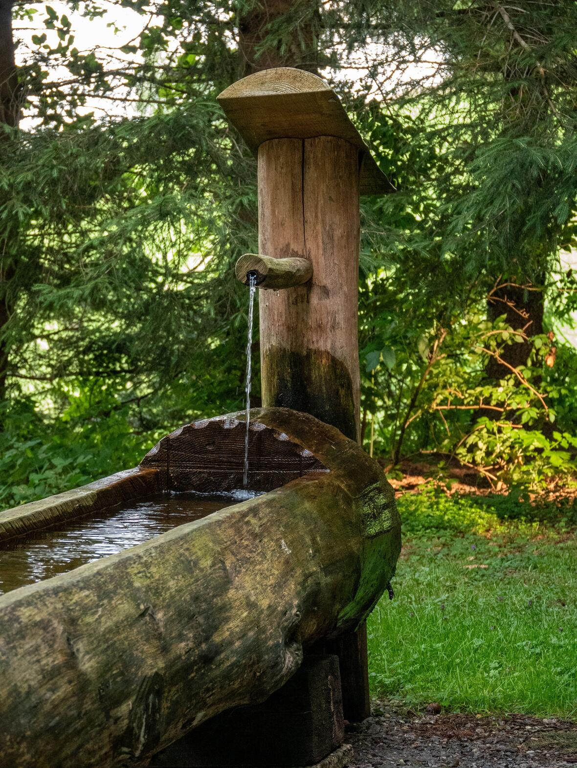 wasser-c-pexels-fer-id