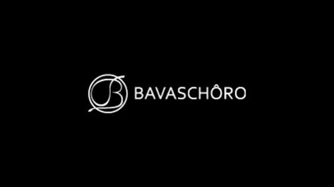bavaschoro-logo