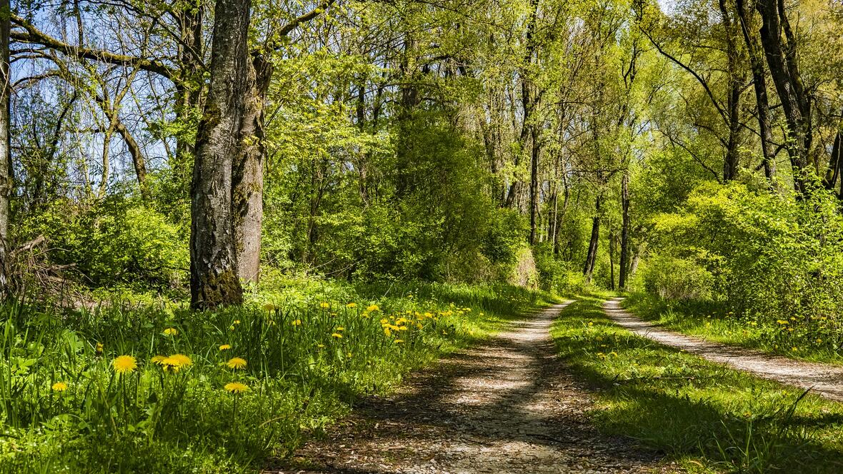 wanderweg-2