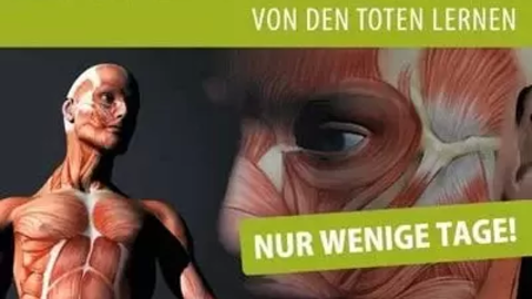 ausstellung-echte-koerper