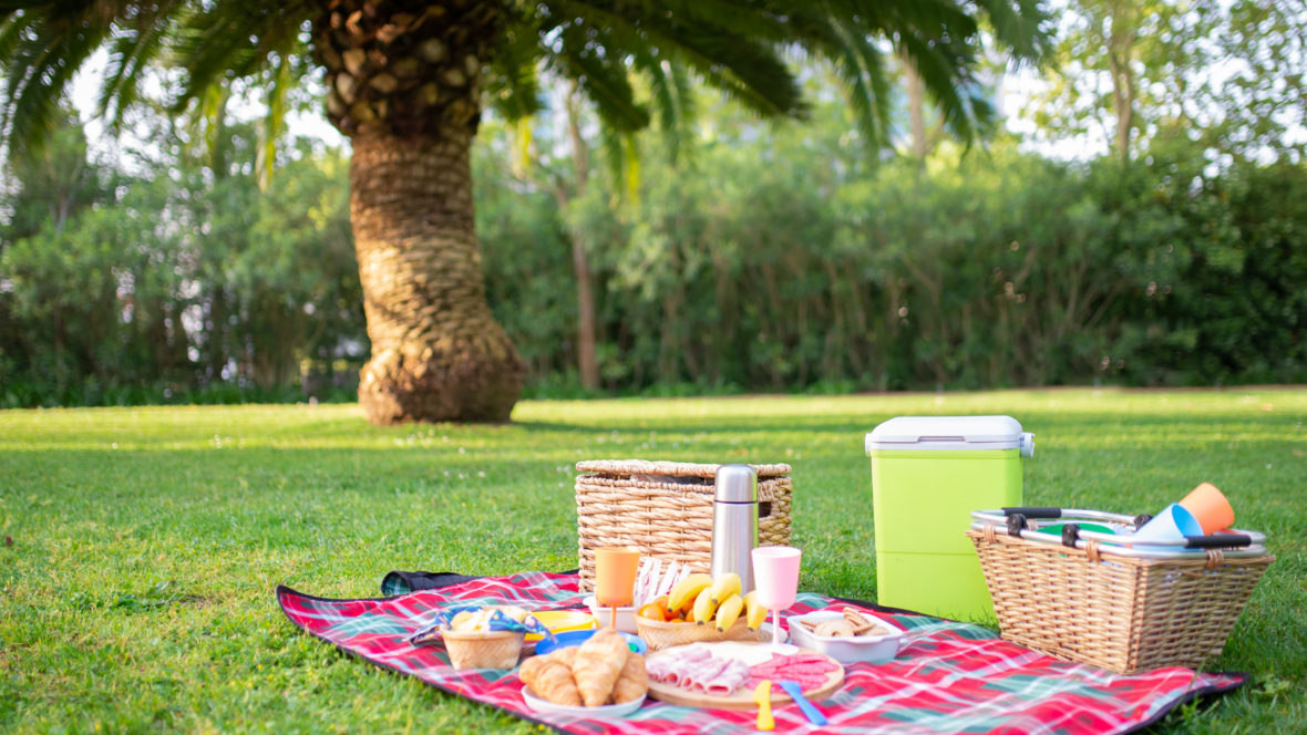 picknick