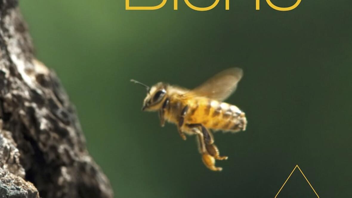 das-tagebuch-einer-biene