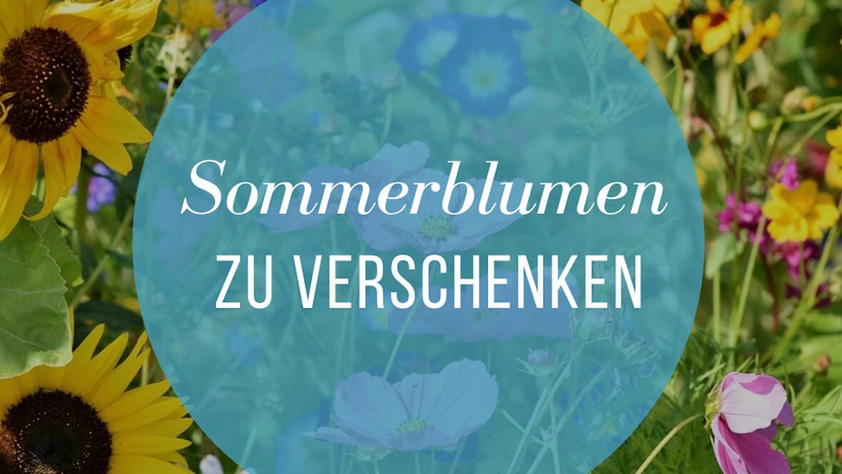 blumen-kostenlos-auf-dem-gelaende-der-landesgartenschau-abholen