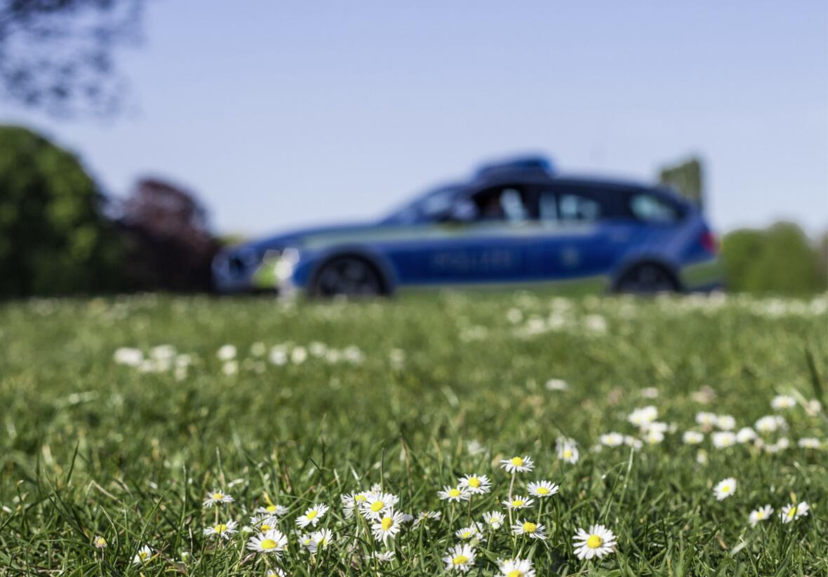 polizeiauto-auf-wiese