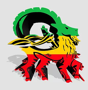 hans-soellner-logo