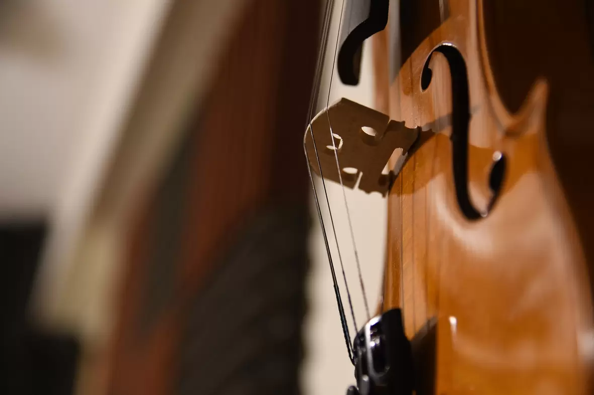 violine