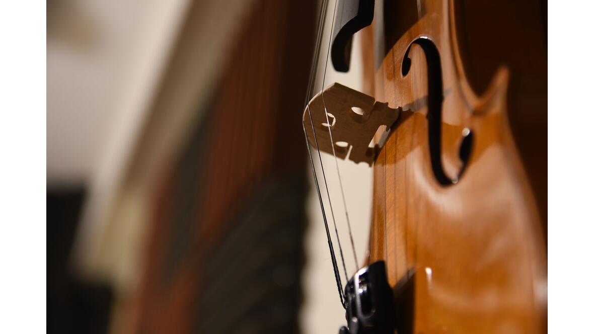 violine